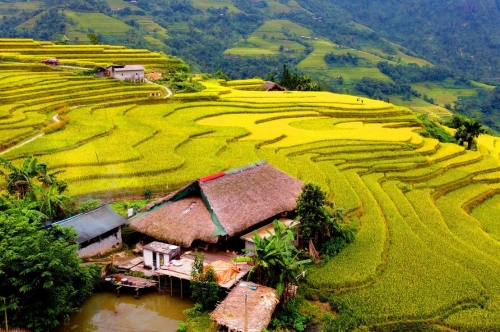 Sapa Tour last