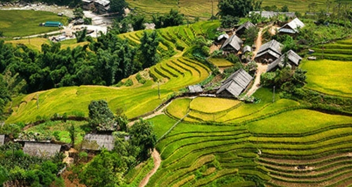 Northen Tours